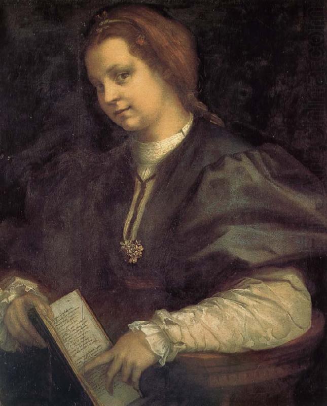 Take the book portrait of woman, Andrea del Sarto